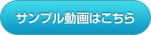 サンプル動画はこちら